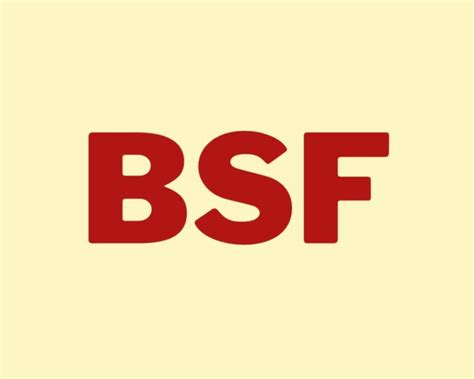 bsf slang|what does bsf mean sexually.